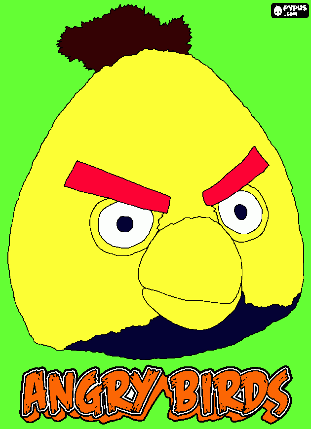 kolorowanka andy