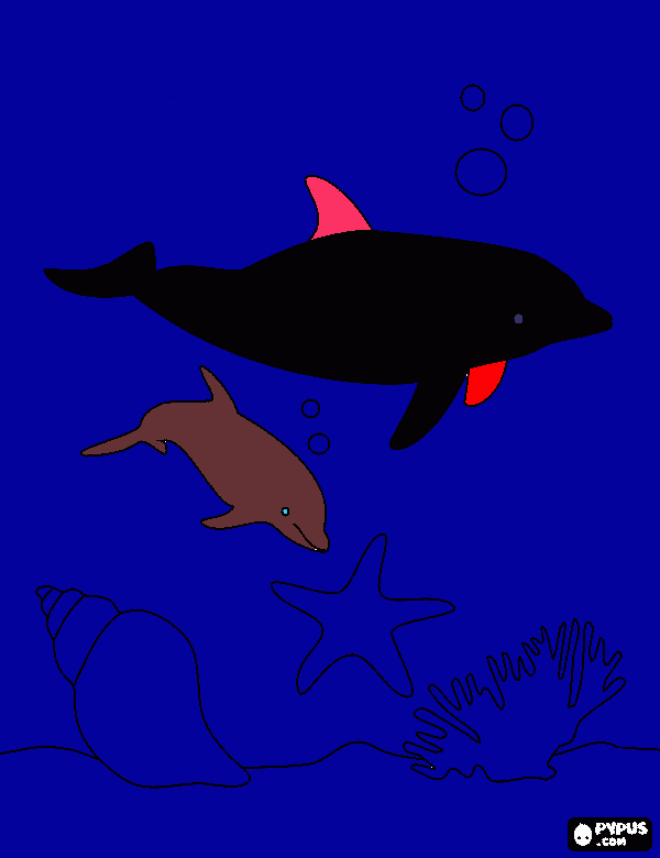 kolorowanka bawiące się delfiny