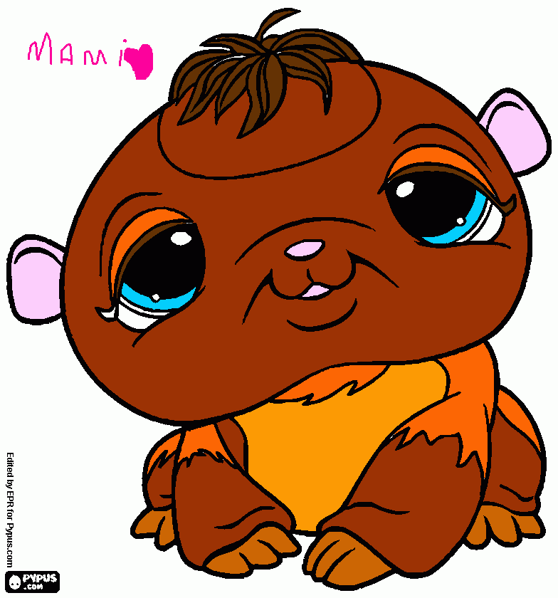kolorowanka Chomicek:*