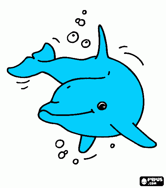 kolorowanka delfin