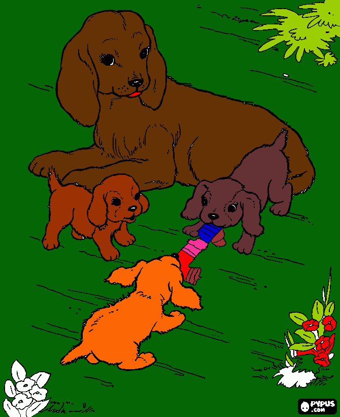 kolorowanka dogs