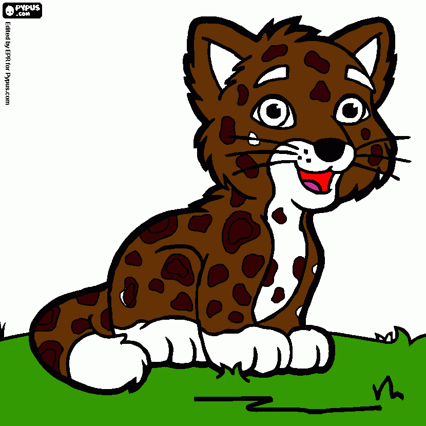 kolorowanka jagułar