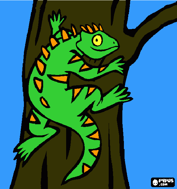 kolorowanka kameleon na drzewie.