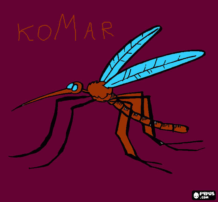 kolorowanka komar