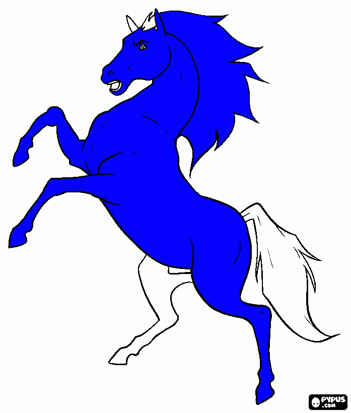 kolorowanka kon