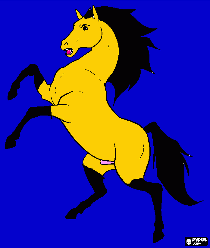 kolorowanka koń w nocy