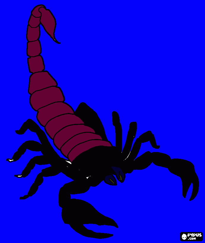 kolorowanka krab adasia