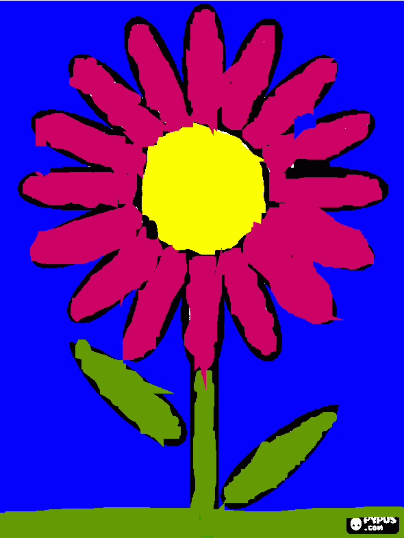 kolorowanka kwiat stokrotki