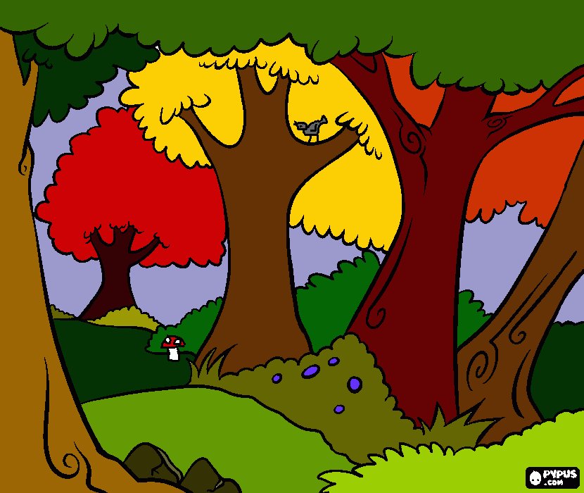 Kolorowanka Las Jesień Rysunek Do Druku Las Jesień