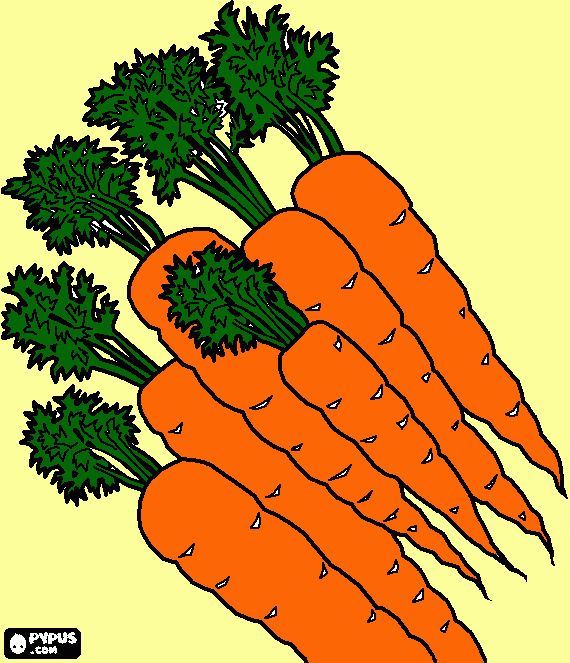 kolorowanka marchewka