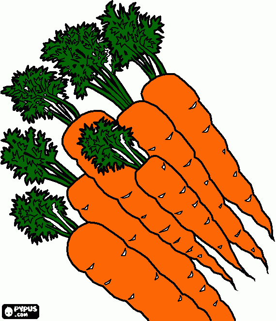 kolorowanka marchewki