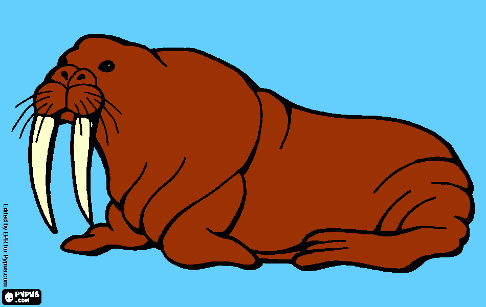kolorowanka mors