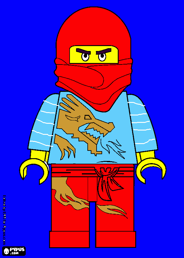 kolorowanka ninjaaaa