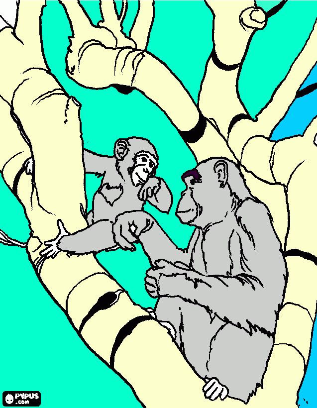 kolorowanka Obraz przedstawia dwie małpki siedzące na brzozie.