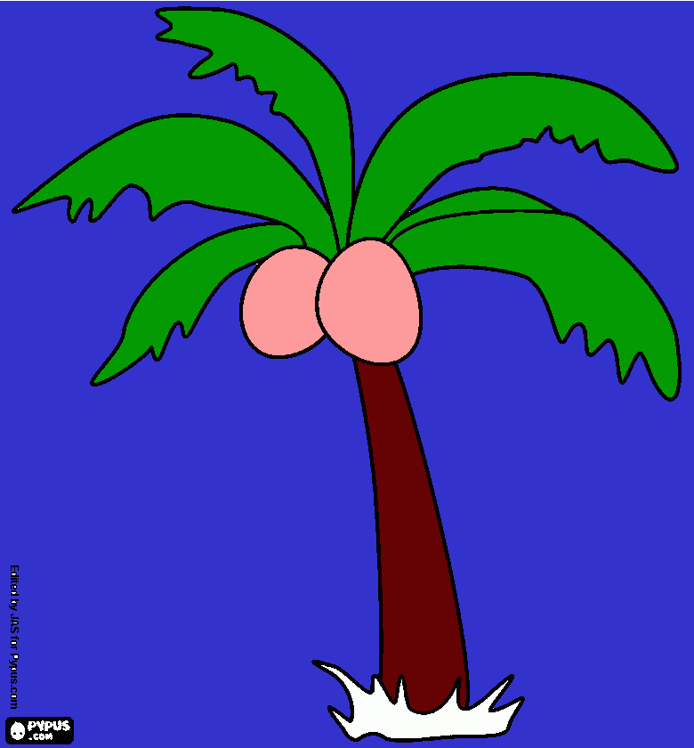 kolorowanka palma z dwoma kokosami