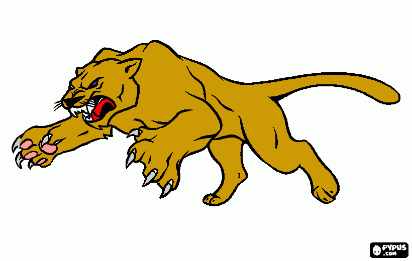 kolorowanka pantera