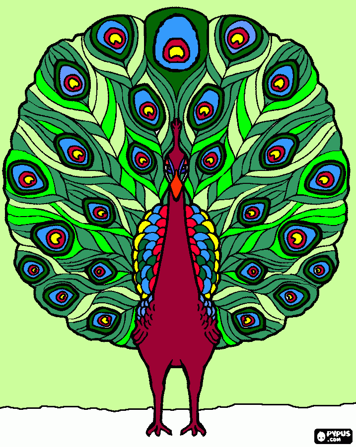 kolorowanka paw