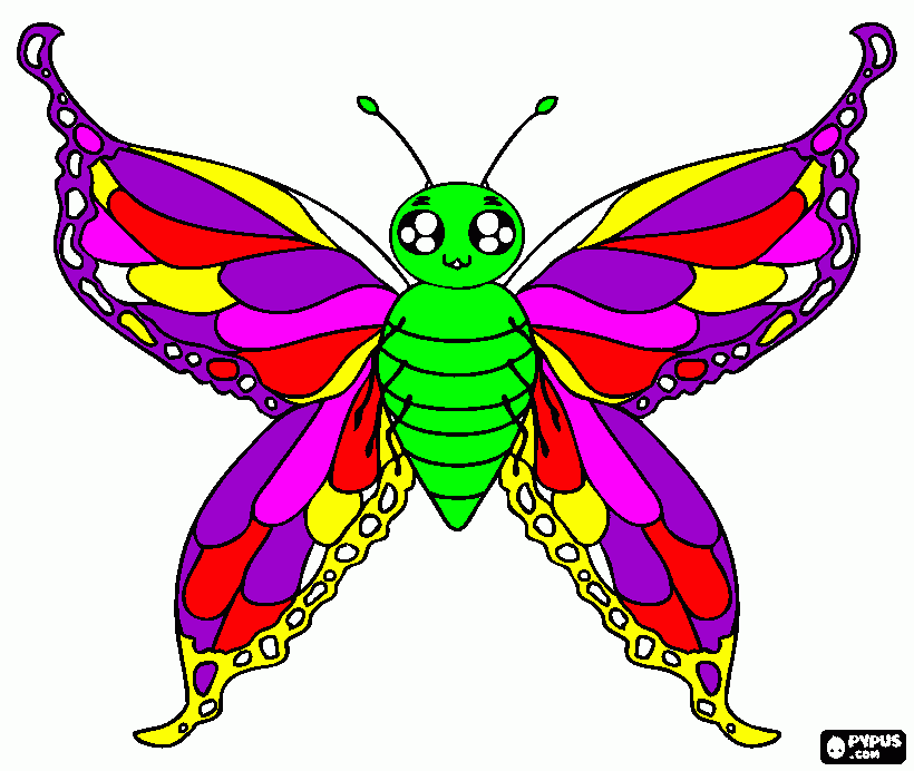 kolorowanka pikny motyl