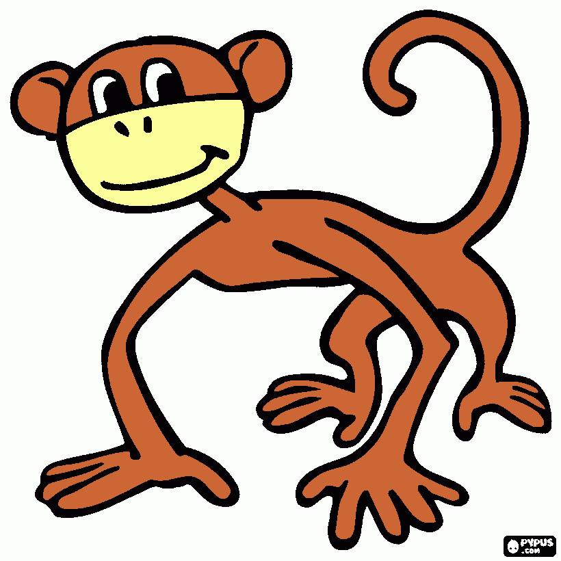 kolorowanka pokolorowana małpa
