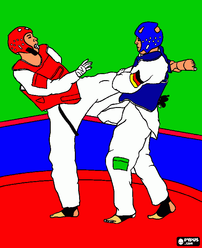 kolorowanka taekwondo
