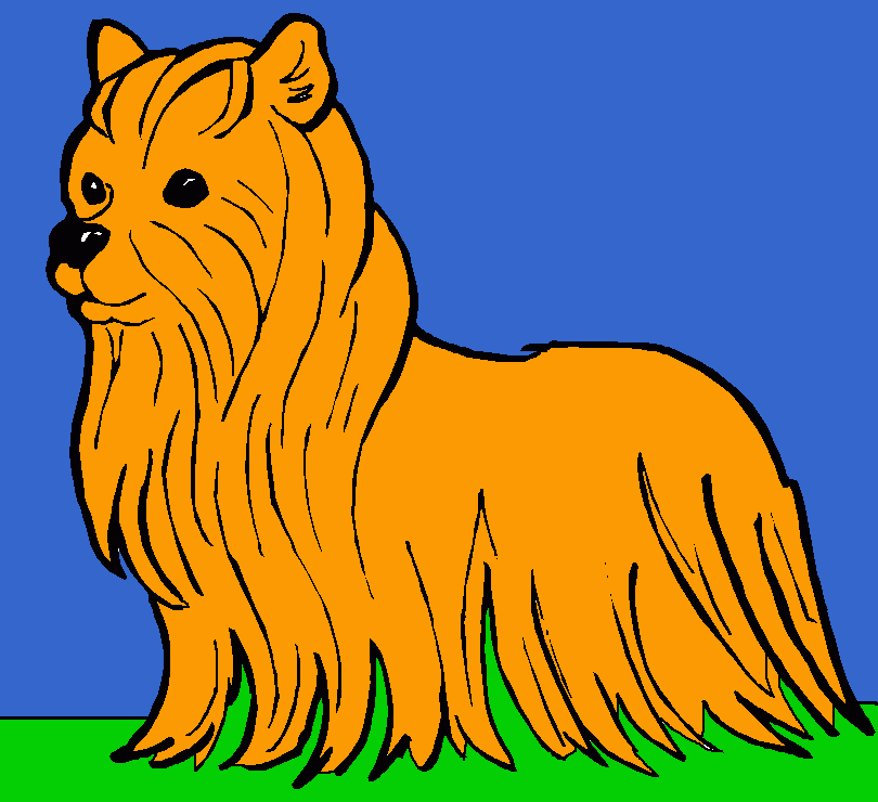 kolorowanka to mój piesek Henio