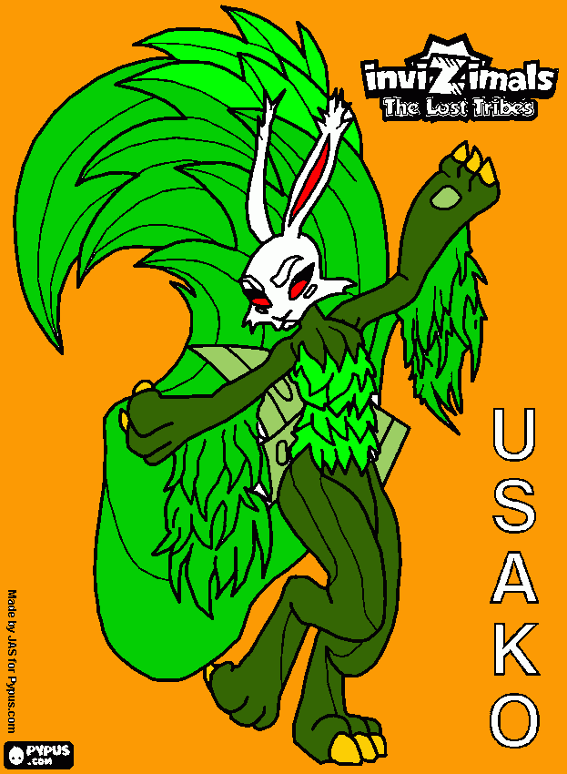 kolorowanka USAKO