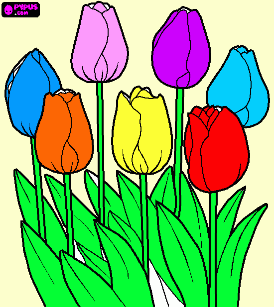 kolorowanka wiosenne tulipany