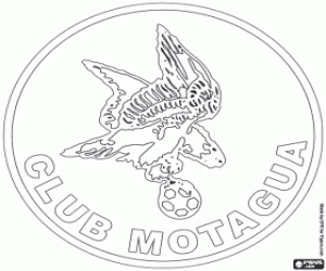 kolorowanka CD Motagua emblemat