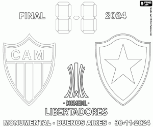 kolorowanka Copa Libertadores, finał 2024