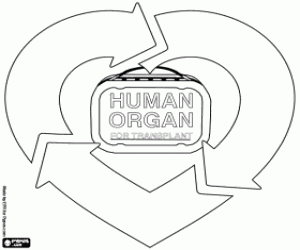 kolorowanka Dawstwa i przeszczepiania narządów