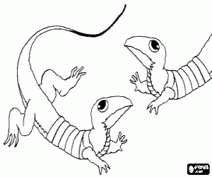 kolorowanka Dwie jaszczurki twarzą w twarz