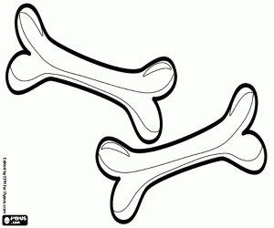 kolorowanka Dwie kości dla małego psa