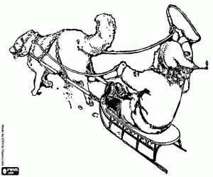 kolorowanka Dziecko na sankach z husky