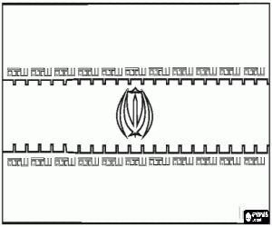 kolorowanka Flaga Iran