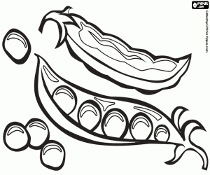 kolorowanka Groszek i strąki grochu