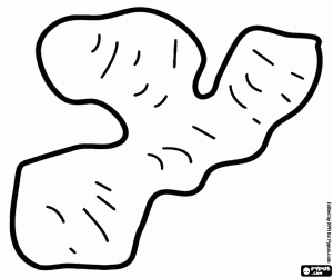 kolorowanka Imbir, kłącza