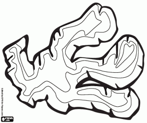 kolorowanka Imbir, pikantne przyprawa