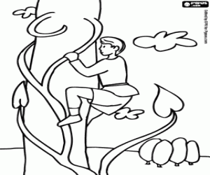 kolorowanka Jack i Czarodziejska Fasola