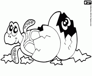 kolorowanka Jaj żółwia