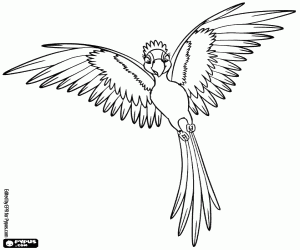 kolorowanka Jewel pyszni jej piór