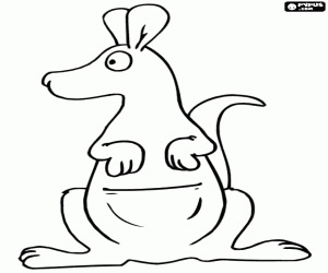 kolorowanka Kangur, widziane z przodu