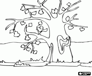 kolorowanka Kilka liści z drzewa na gałęzi