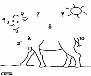 kolorowanka Kropka do kropki, wielbłąd