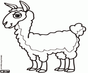kolorowanka Lama, zwierzę Inków
