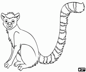 kolorowanka Lemur, wyspa Madagaskaru