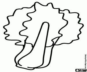 kolorowanka Mangold, roślina jadalna