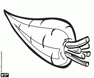 kolorowanka Marchew, korzeń, warzywo