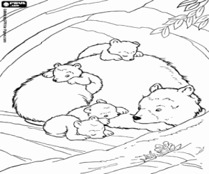 kolorowanka Niedźwiadki z matką