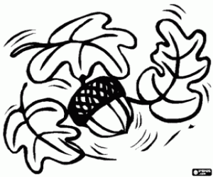 kolorowanka Niektóre dębu i Żołądź