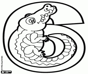 kolorowanka Numer sześć, Krokodyl